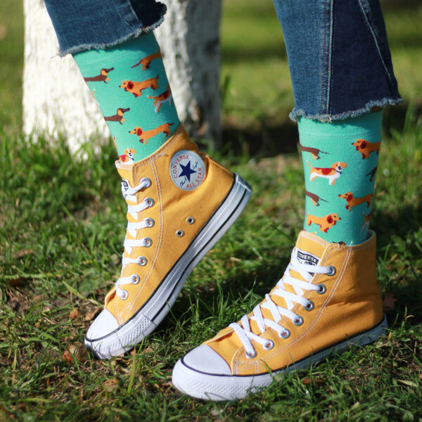 Chaussettes fantaisie avec motif chiens sur fond vert clair.