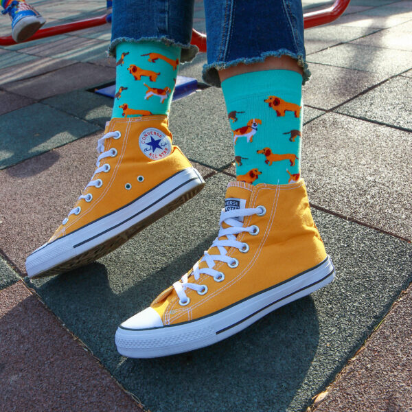 Chaussettes fantaisie avec motif chiens sur fond vert clair.